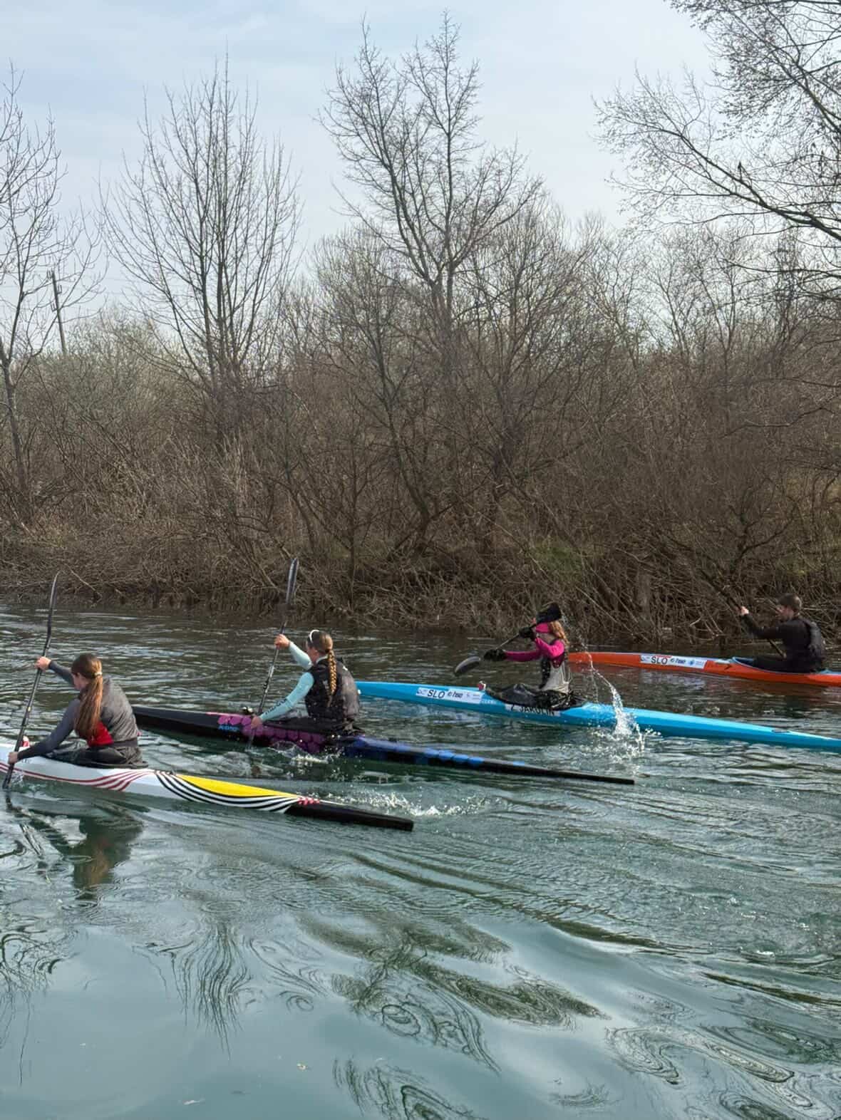 Pester dan v Ljubljani